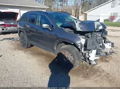 JTMF1RFV8KD046699 2019 TOYOTA RAV 4