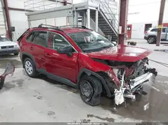 JTMF1RFV9KD006728 2019 TOYOTA RAV 4