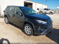 JTMF1RFV9RD110002 2024 TOYOTA RAV 4