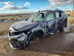 JTMFB3FV2SD287782 2025 TOYOTA RAV 4
