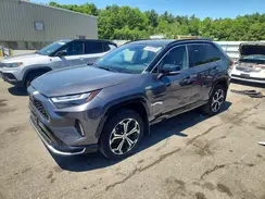 JTMFB3FV6RD177490 2024 TOYOTA RAV 4