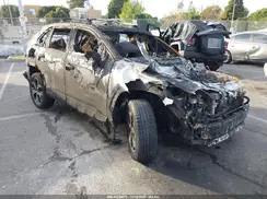 JTMFB3FVXRD167657 2024 TOYOTA RAV 4