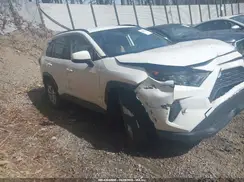 JTMG1RFV0KD043865 2019 TOYOTA RAV 4