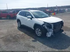 JTMG1RFV0LD064197 2020 TOYOTA RAV 4