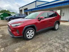 JTMG1RFV0RD103282 2024 TOYOTA RAV 4