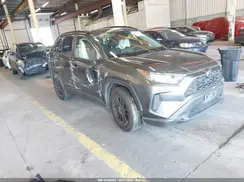 JTMG1RFV1KD030459 2019 TOYOTA RAV 4
