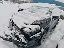 JTMG1RFV1KD500375 2019 TOYOTA RAV 4