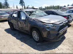 JTMG1RFV1KJ003036 2019 TOYOTA RAV 4