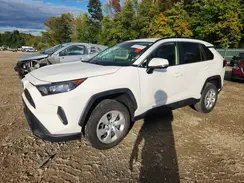 JTMG1RFV2KD035024 2019 TOYOTA RAV 4