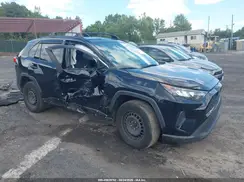 JTMG1RFV3KD010407 2019 TOYOTA RAV 4