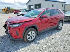 JTMG1RFV3KD046520 2019 TOYOTA RAV 4