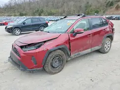JTMG1RFV3KD500149 2019 TOYOTA RAV 4
