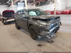 JTMG1RFV3KJ018721 2019 TOYOTA RAV 4