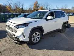 JTMG1RFV3KJ024955 2019 TOYOTA RAV 4
