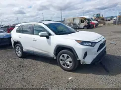 JTMG1RFV5KD020534 2019 TOYOTA RAV 4