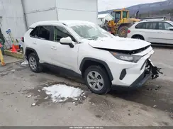 JTMG1RFV5KJ007042 2019 TOYOTA RAV 4
