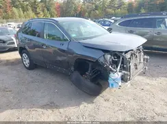 JTMG1RFV6KD035656 2019 TOYOTA RAV 4