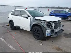 JTMG1RFV6KJ007731 2019 TOYOTA RAV 4