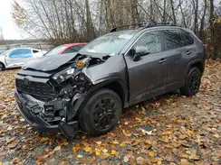 JTMG1RFV6KJ011407 2019 TOYOTA RAV 4