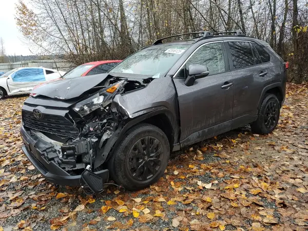 JTMG1RFV6KJ011407 2019 TOYOTA RAV 4 - Image 1