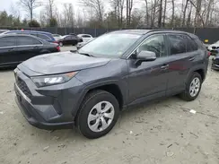 JTMG1RFV7KD016629 2019 TOYOTA RAV 4