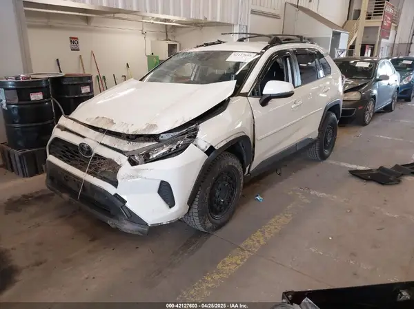 JTMG1RFV8KD503144 2019 TOYOTA RAV 4 - Image 2