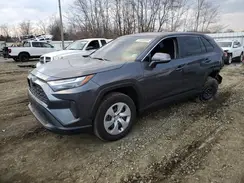 JTMG1RFV8PD102281 2023 TOYOTA RAV 4