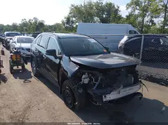 JTMG1RFV9LD055935 2020 TOYOTA RAV 4