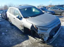 JTMGB3FV1PD118784 2023 TOYOTA RAV 4