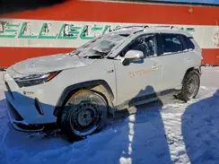 JTMGB3FV6RD171516 2024 TOYOTA RAV 4