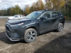 JTMGB3FV9PD115423 2023 TOYOTA RAV 4