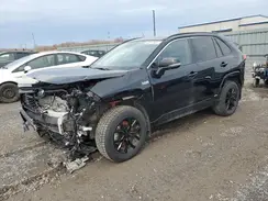 JTMGB3FV9RD230400 2024 TOYOTA RAV 4