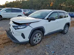 JTMH1RFV0KD022440 2019 TOYOTA RAV 4