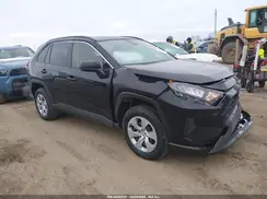 JTMH1RFV0KD504549 2019 TOYOTA RAV 4