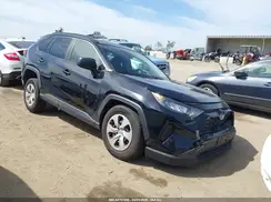 JTMH1RFV1KD513339 2019 TOYOTA RAV 4