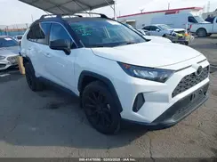 JTMH1RFV1LD048496 2020 TOYOTA RAV 4