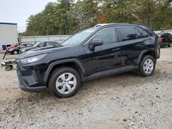 JTMH1RFV1LD061135 2020 TOYOTA RAV 4