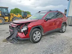 JTMH1RFV2KJ001607 2019 TOYOTA RAV 4