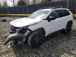 JTMH1RFV2KJ005253 2019 TOYOTA RAV 4