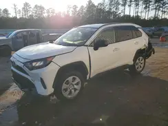 JTMH1RFV3KD513651 2019 TOYOTA RAV 4