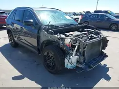 JTMH1RFV3KJ008405 2019 TOYOTA RAV 4