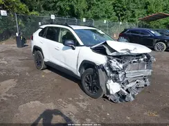 JTMH1RFV5KJ005358 2019 TOYOTA RAV 4