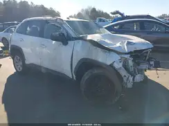 JTMH1RFV6KD006968 2019 TOYOTA RAV 4