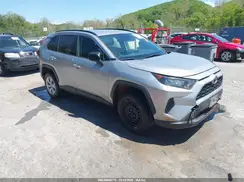 JTMH1RFV6KD007313 2019 TOYOTA RAV 4