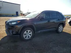 JTMH1RFV8KD505416 2019 TOYOTA RAV 4