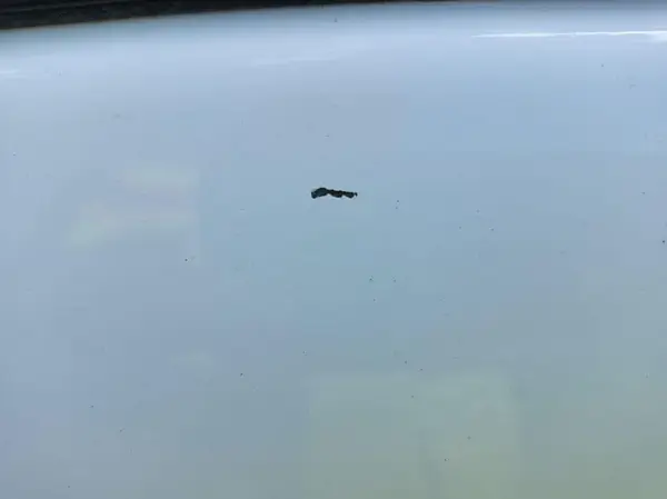JTMH1RFVXKJ005467 2019 TOYOTA RAV 4 - Image 2