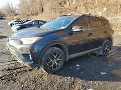 JTMJJREV1JD239321 2018 TOYOTA RAV 4