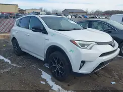 JTMJJREV2HD097975 2017 TOYOTA RAV 4