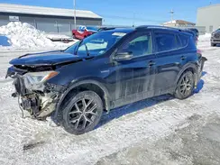 JTMJJREV3HD076200 2017 TOYOTA RAV 4