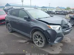JTMJJREV3HD120244 2017 TOYOTA RAV 4